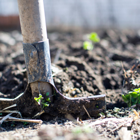 garden maintenance services by grass scorpions