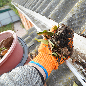 garden maintenance services by grass scorpions