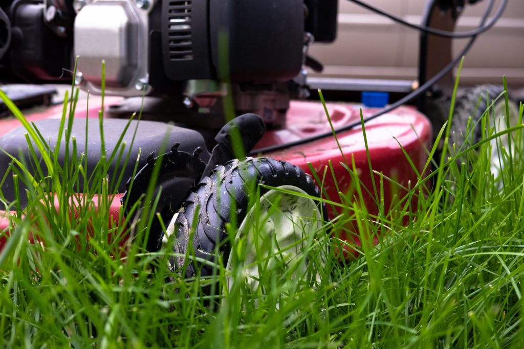 garden maintenance services by grass scorpions
