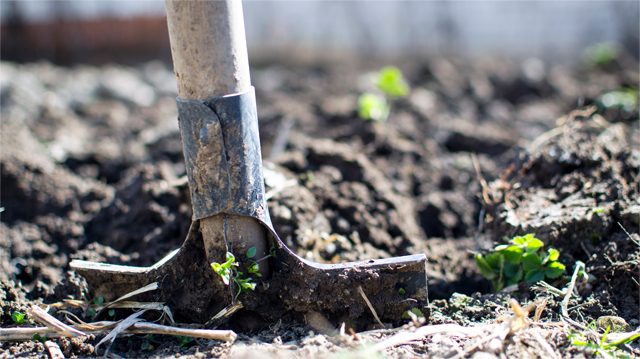 garden maintenance services by grass scorpions