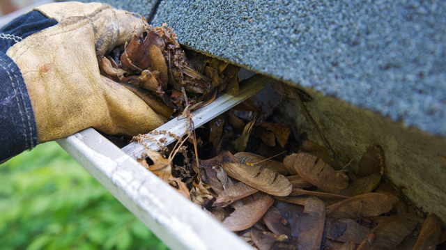 garden maintenance services by grass scorpions